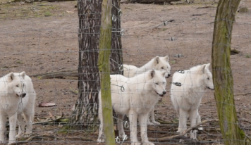 Wildpark Johannismühle – Neue Gastro eröffnet