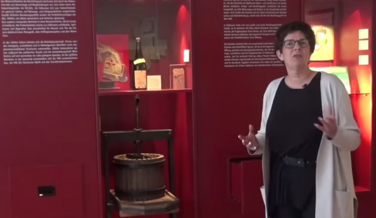 Streaming Havelland: Matinée – museum galerie falkensee