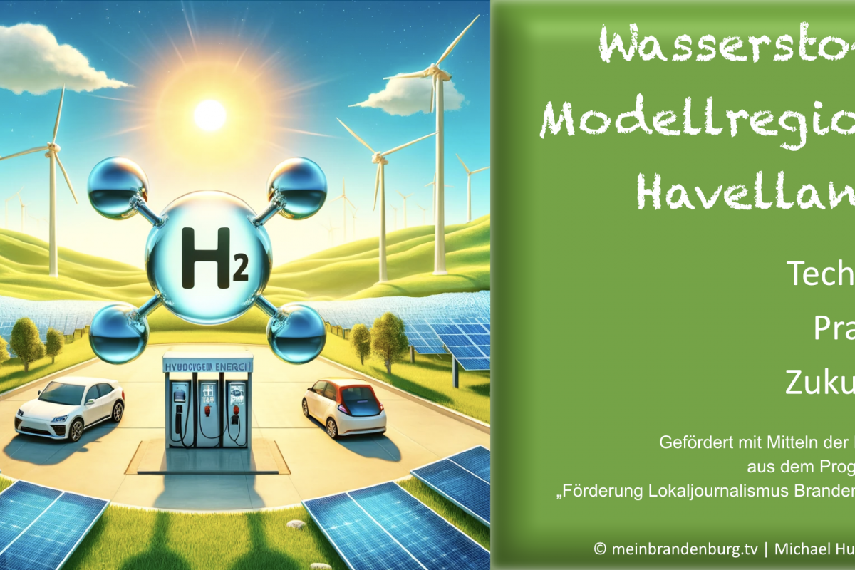„Wasserstoff Dschungel“ im Havelland: Ein Blick hinter die Kulissen der Genehmigung