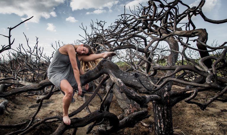 Klima-Kipppunkte: Ein Webinar, das niemanden kaltlassen kann