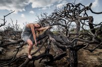 Klima-Kipppunkte: Ein Webinar, das niemanden kaltlassen kann