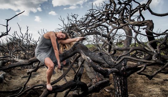 Klima-Kipppunkte: Ein Webinar, das niemanden kaltlassen kann