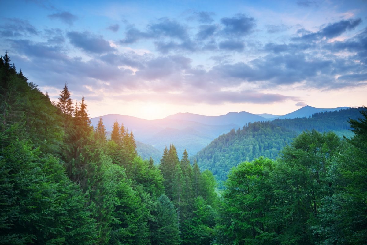 Aus Entsorgung wird Versorgung: Wie Energie wieder kalkulierbar wird