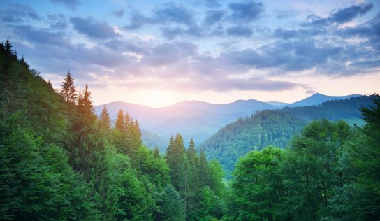 Aus Entsorgung wird Versorgung: Wie Energie wieder kalkulierbar wird